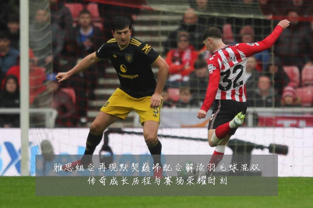 雅思组合再现默契巅峰配合解读羽毛球混双传奇成长历程与赛场荣耀时刻